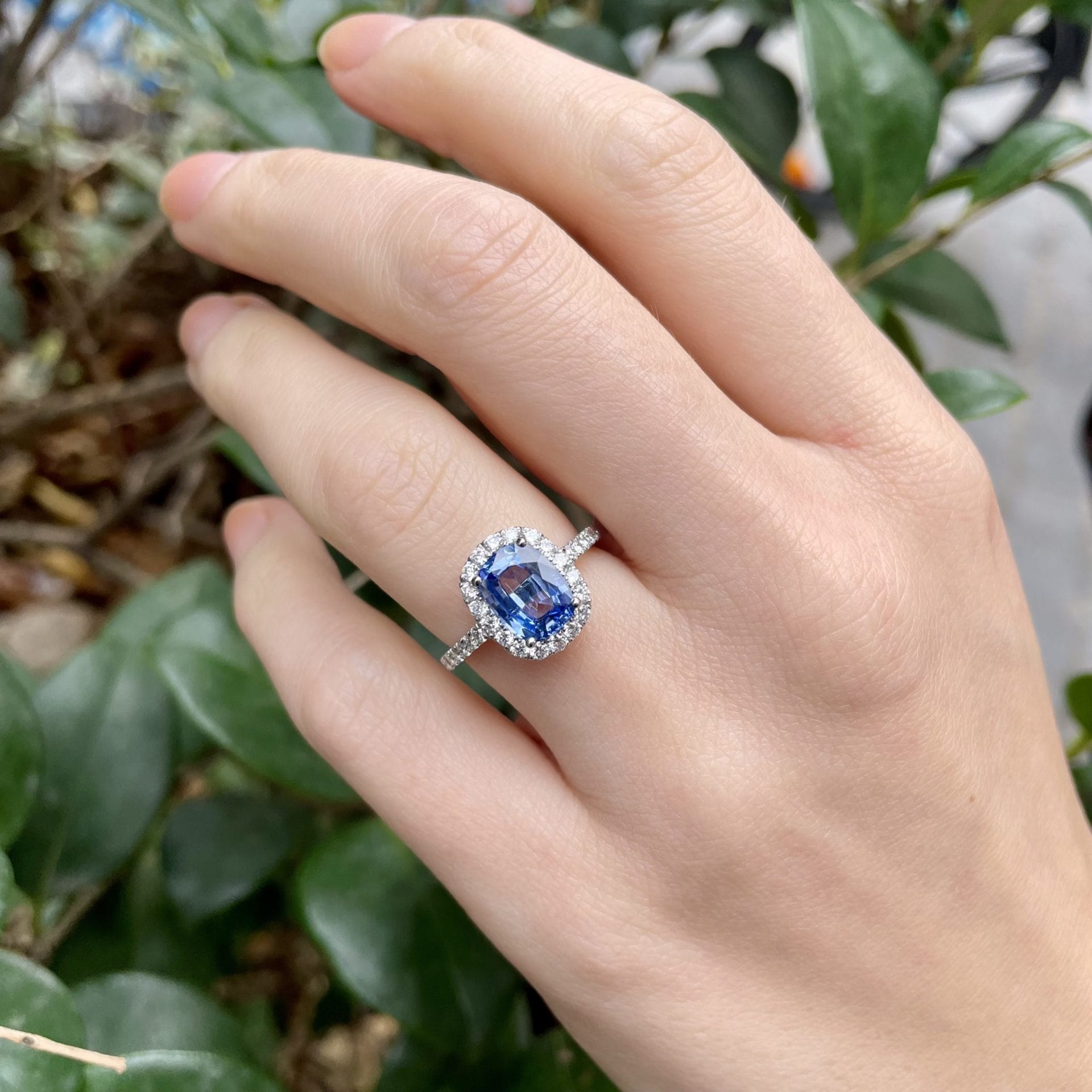 Bague Jaffna - Saphir Cornflower 2.06 carats – Image 2