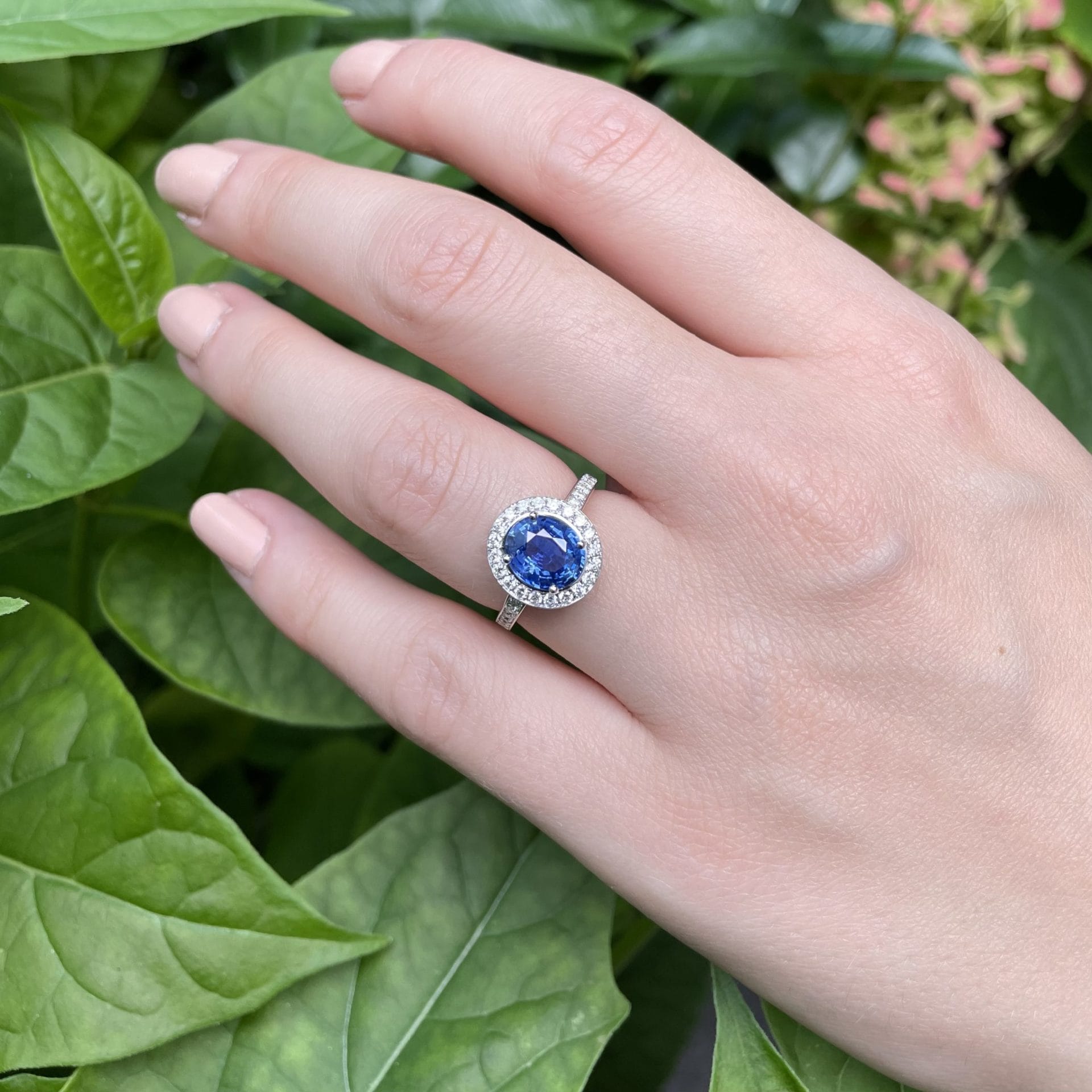 Bague Jaffna - Saphir Vivid Blue 2.02 carats – Image 2
