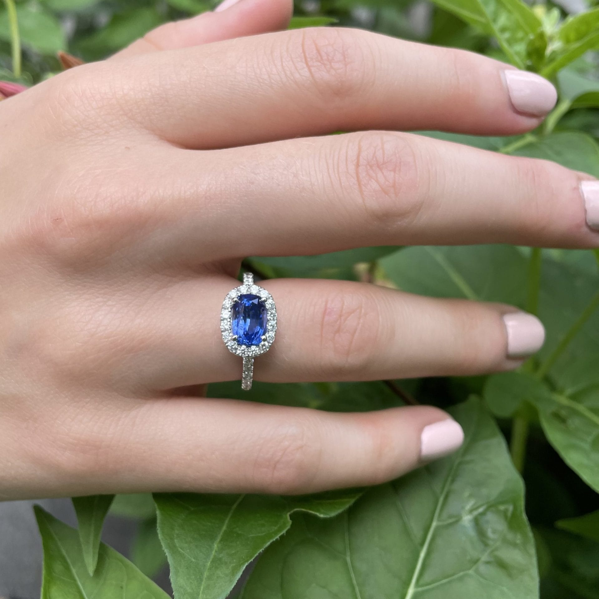Bague Jaffna - Saphir Vivid Blue 2.12 carats – Image 2